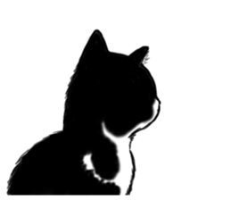 Lovely Kitten sticker #4501801