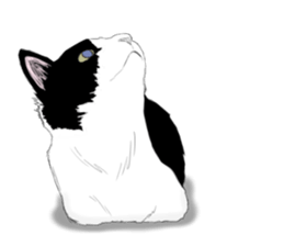 Lovely Kitten sticker #4501805