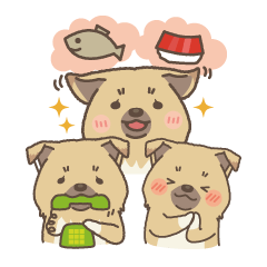 japanese so cute crosbreed Shiba dog2