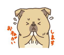 japanese so cute crosbreed Shiba dog2 sticker #4502808