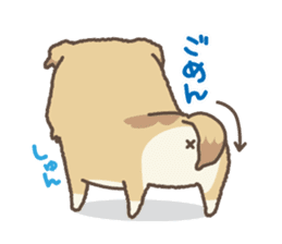 japanese so cute crosbreed Shiba dog2 sticker #4502810