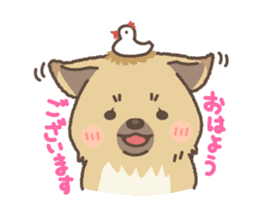 japanese so cute crosbreed Shiba dog2 sticker #4502812