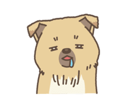 japanese so cute crosbreed Shiba dog2 sticker #4502814