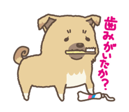 japanese so cute crosbreed Shiba dog2 sticker #4502819