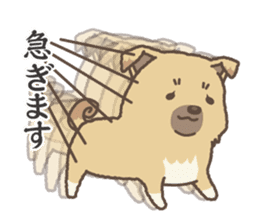 japanese so cute crosbreed Shiba dog2 sticker #4502821