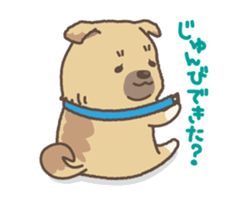japanese so cute crosbreed Shiba dog2 sticker #4502822