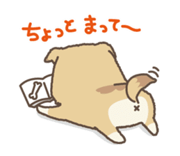 japanese so cute crosbreed Shiba dog2 sticker #4502823
