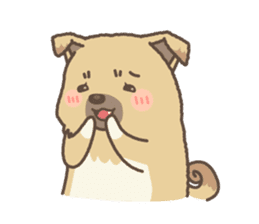 japanese so cute crosbreed Shiba dog2 sticker #4502838