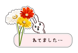 Flower message card with rabbit sticker #4504906