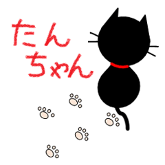 Abandoned cat Tanchan