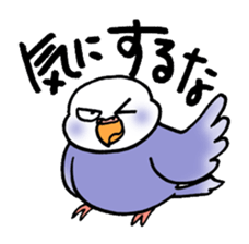 "Daily Budgerigar 2" With bird 05 sticker #4510904
