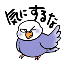 "Daily Budgerigar 2" With bird 05 sticker #4510904
