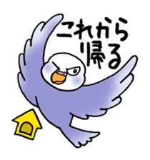 "Daily Budgerigar 2" With bird 05 sticker #4510912