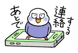 "Daily Budgerigar 2" With bird 05 sticker #4510924