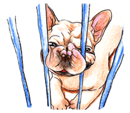 Fancy dogs sticker #4511728