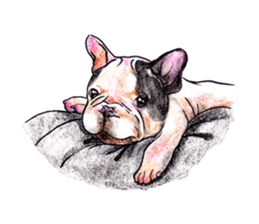 Fancy dogs sticker #4511729