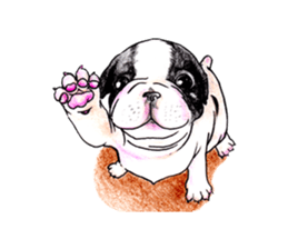 Fancy dogs sticker #4511750