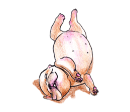 Fancy dogs sticker #4511751