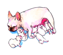 Fancy dogs sticker #4511755