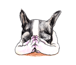 Fancy dogs sticker #4511756