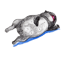 Fancy dogs sticker #4511764