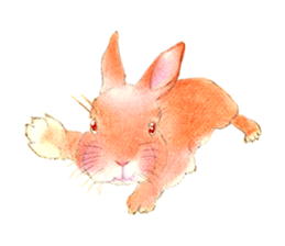 Fancy rabbits sticker #4513929