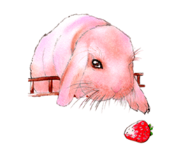 Fancy rabbits sticker #4513932