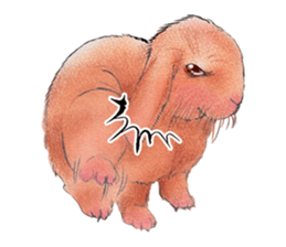 Fancy rabbits sticker #4513935