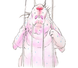 Fancy rabbits sticker #4513936