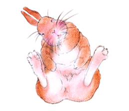 Fancy rabbits sticker #4513937