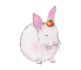 Fancy rabbits sticker #4513942