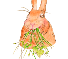 Fancy rabbits sticker #4513947