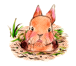 Fancy rabbits sticker #4513949