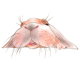 Fancy rabbits sticker #4513951