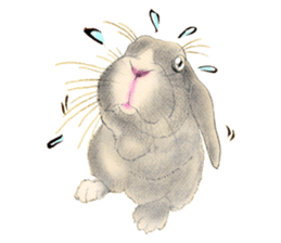 Fancy rabbits sticker #4513952