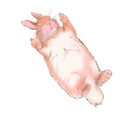 Fancy rabbits sticker #4513957