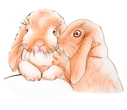 Fancy rabbits sticker #4513958