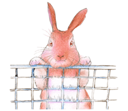 Fancy rabbits sticker #4513959