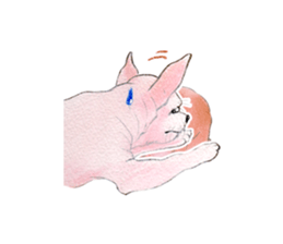 Fancy rabbits sticker #4513961