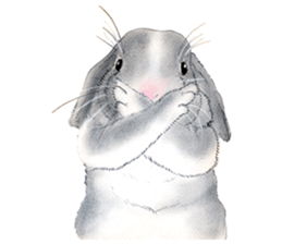 Fancy rabbits sticker #4513965