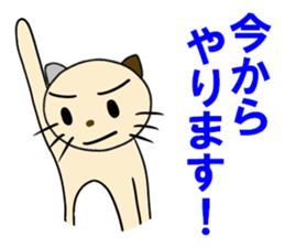 cat for men 6 sticker #4517651