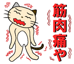 cat for men 6 sticker #4517654