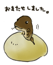 BallPython,JapaneseRatSnake,HogNoseSnake sticker #4517665