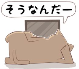 Tired facial cat sticker #4519670