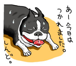 well speak dog sticker #4520937