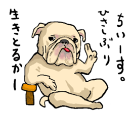 well speak dog sticker #4520960