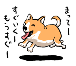 well speak dog sticker #4520966