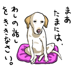 well speak dog sticker #4520972