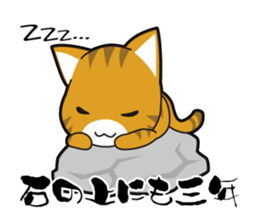 Proverb of the cat sticker #4521056