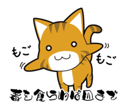 Proverb of the cat sticker #4521058